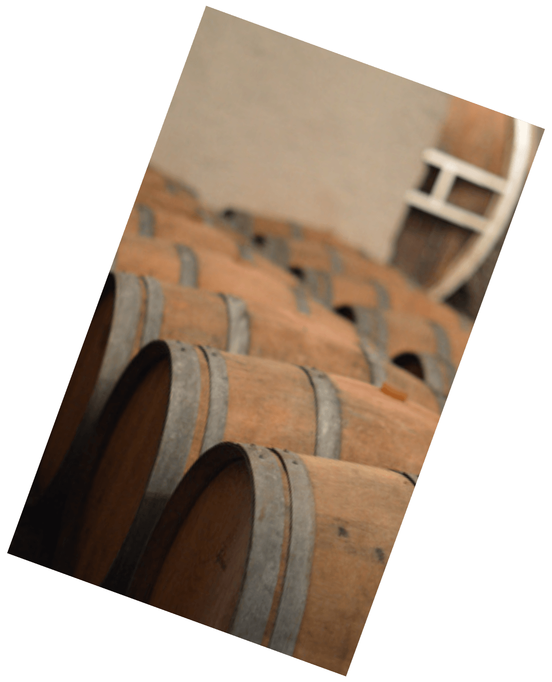 Vinification